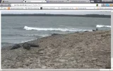 robben2.webp