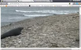 robben6.webp