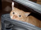 mein Versteck.webp