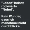nebel.webp