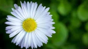 479126.webp