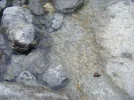 D01732.webp
