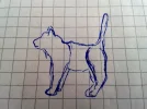 Katzenzeichnung.webp