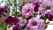 20160305_124125[1].webp