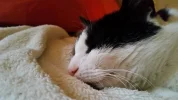 20160214_161045[1].webp
