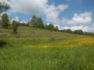 060.webp