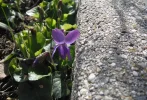 DSCF8143.webp