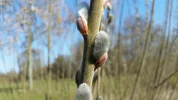 20160316_133601[1].webp
