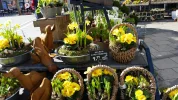 20160316_100058[1].webp