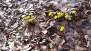 20150307_154441.webp