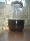 DSCF8180.webp