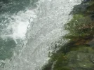 272.webp