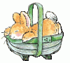 hase_0172.gif
