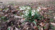 20160313_163101.webp
