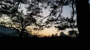 20160318_185101.webp