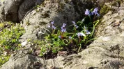 20160313_161827.webp