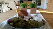 20160320_165056[1].webp