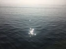 12593841_10153946009683954_4955501471045331434_o.webp