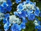 100_1069.webp