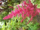 100_1072.webp