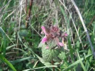 DSCF8181.webp