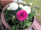IMG_20160322_134651.webp IMG_20160322_134651.webp