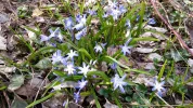 20160320_160418.webp