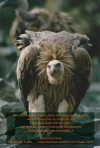 Geier & Text.webp