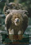 Geier & Text02.webp