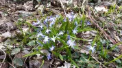 20160320_160409.webp