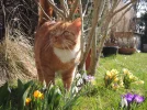 DSCN0654.webp