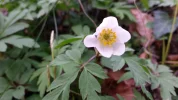 20160329_181527.webp