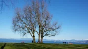20160326_164018.webp