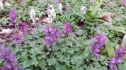 20160329_174042.webp