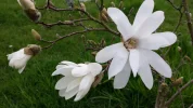 20160330_170701.webp
