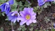 20160330_170724.webp