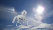 Einhorn.webp