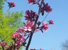 12.04.2016.webp