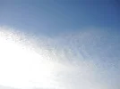 DSCN0008.webp