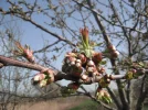 DSCF8221.webp