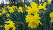 20160408_142700[1].webp