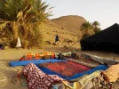 DSCN0117.webp