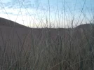 DSCN0172.webp