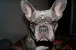 DSC00042.webp