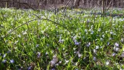 20160320_160736.webp