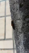 20160415_162719.webp