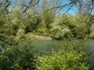 DSCN0243.webp