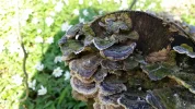 20160417_162426[1].webp