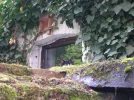 Frau H.webp