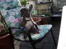 DSC00169.webp